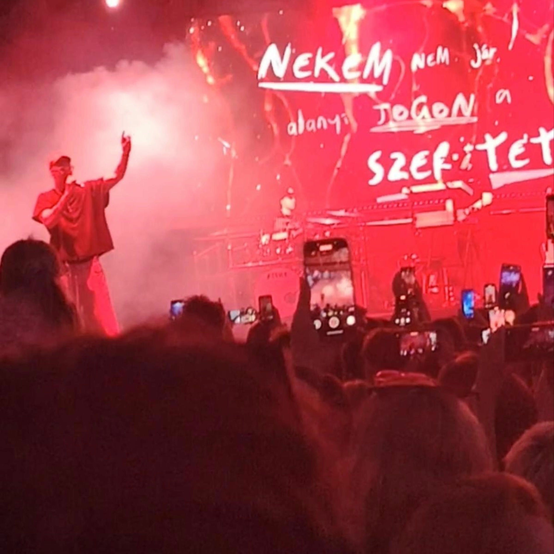 Album cover of Nem Érzem A Lábam (feat. Manuel)