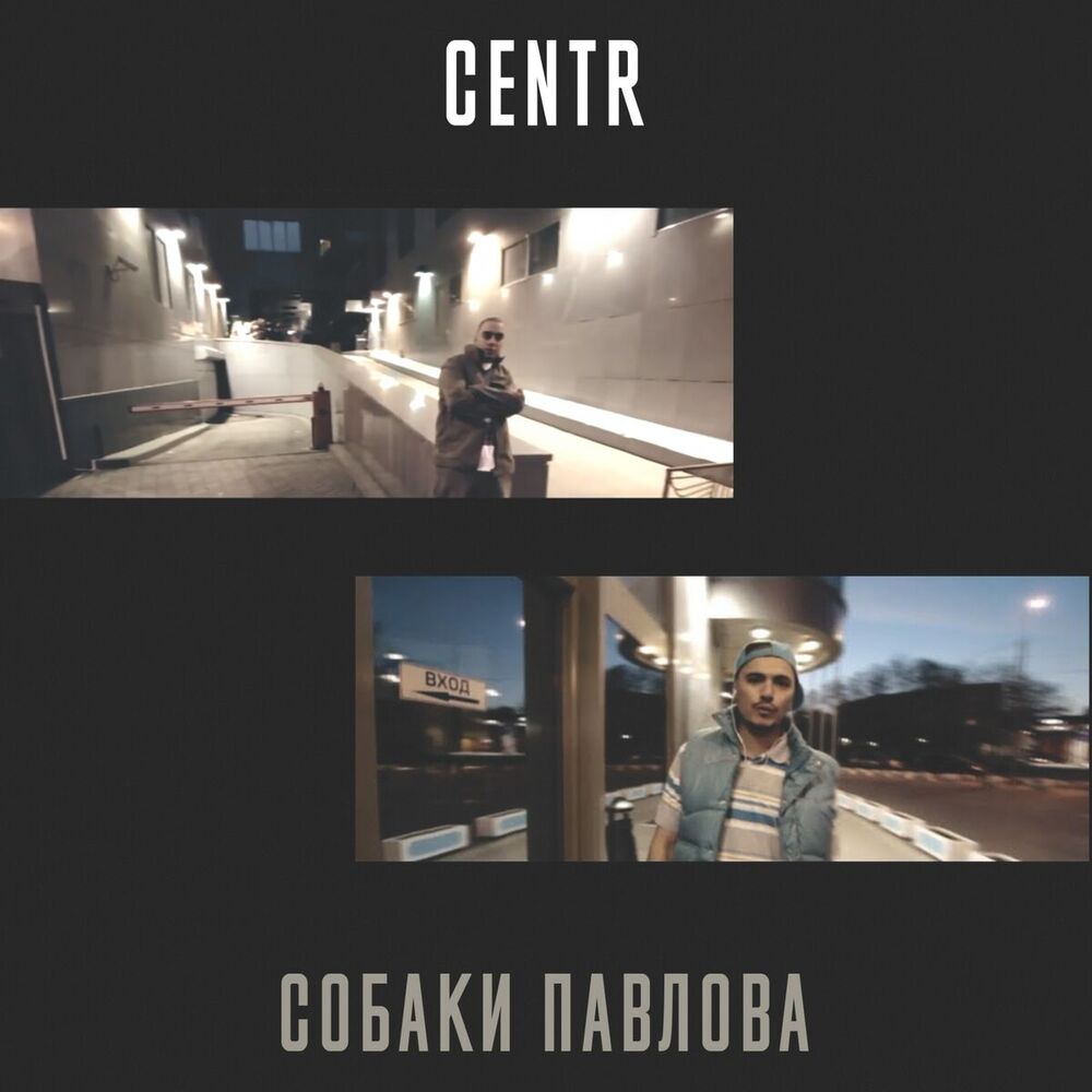 Picture of Собаки Павлова
