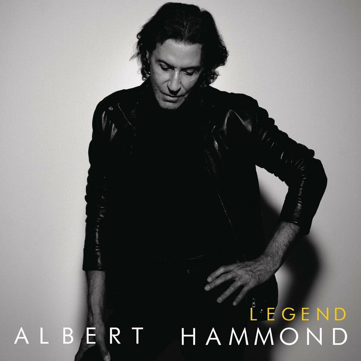 Album cover of Legend