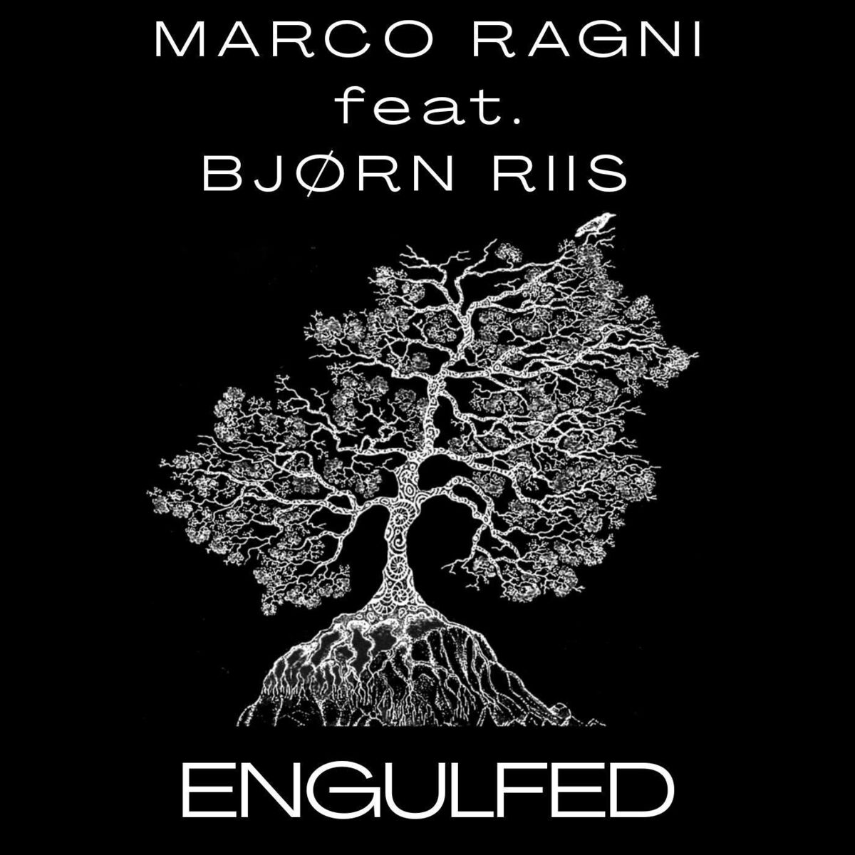 Album cover of Engulfed