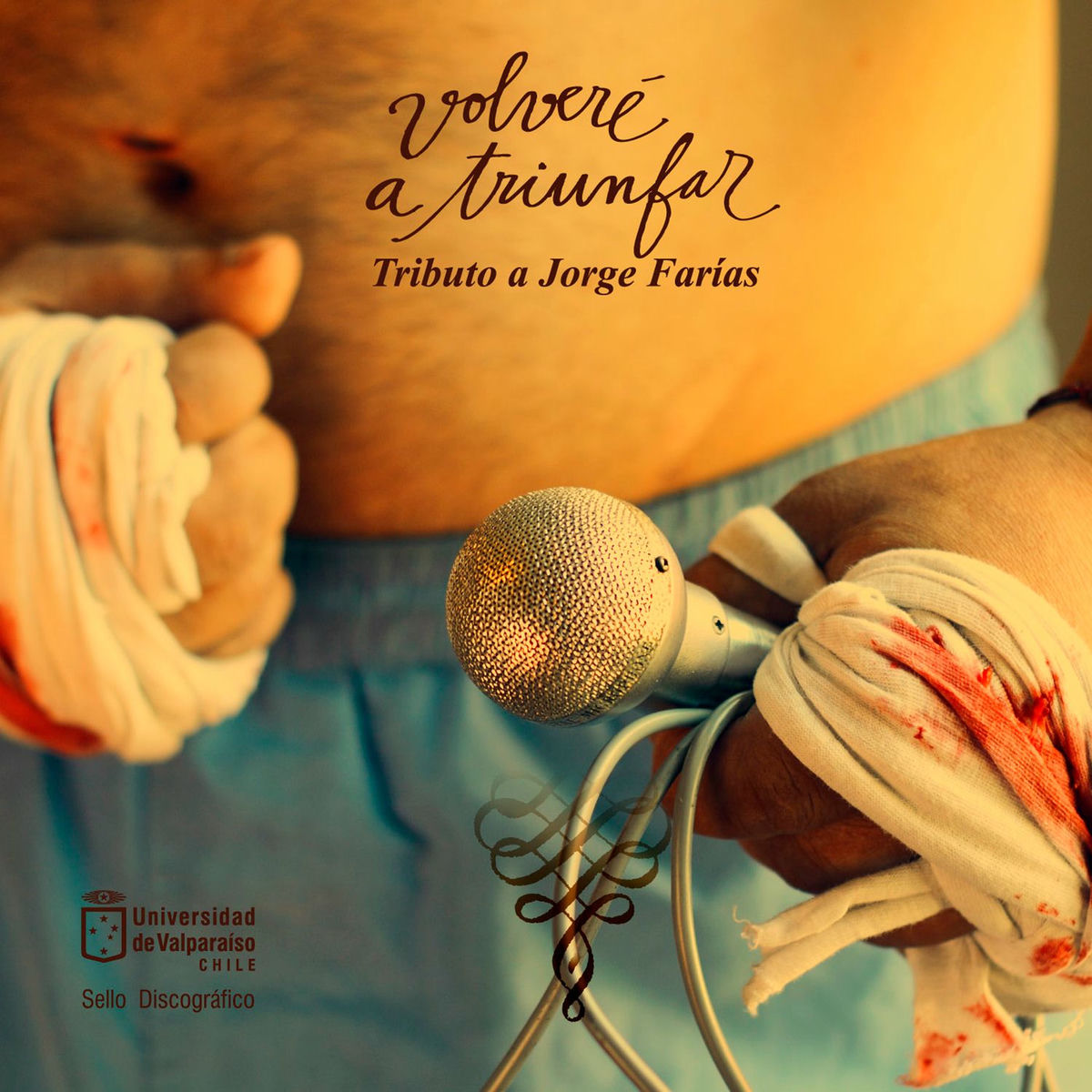 Album cover of Volveré a Triunfar - Tributo a Jorge Farías