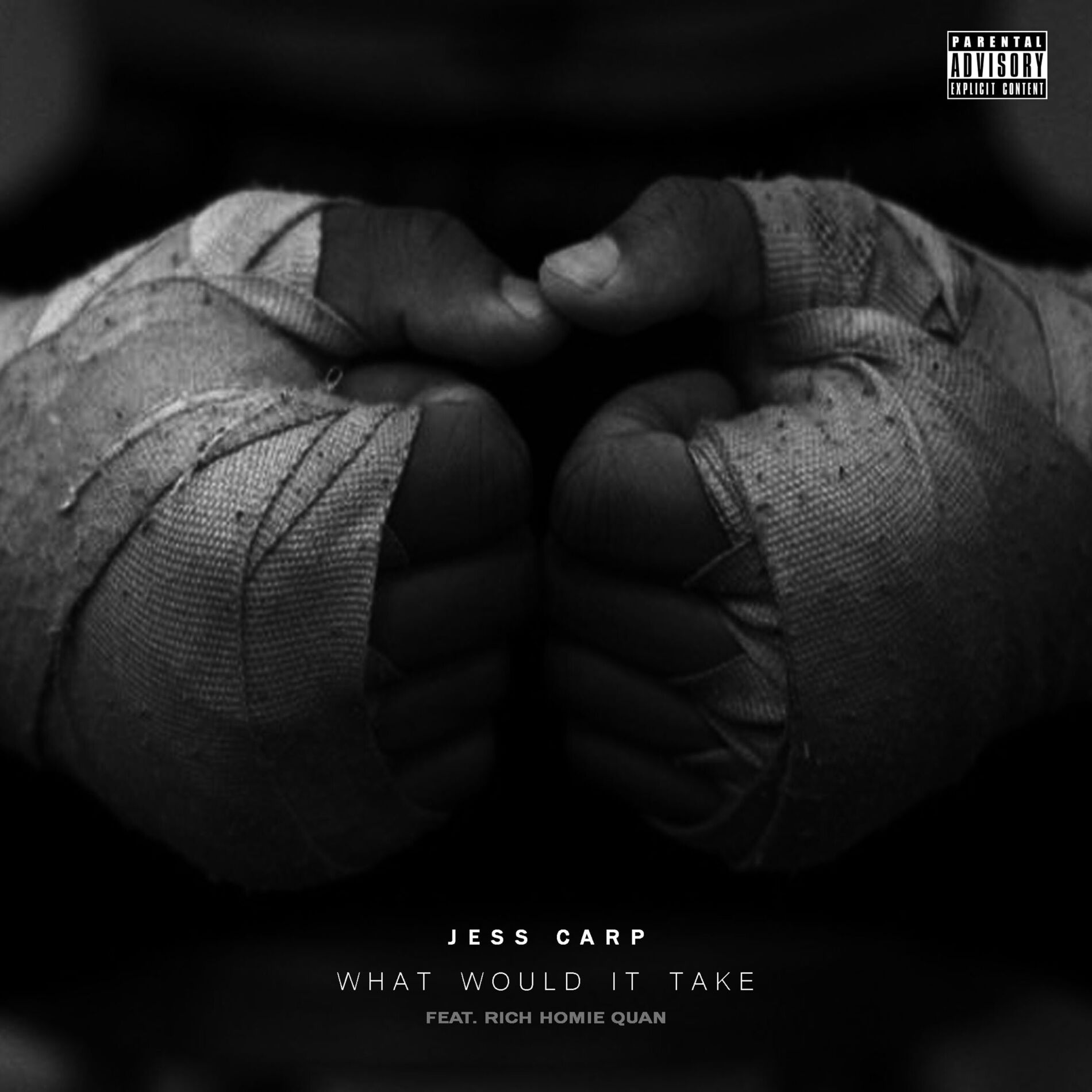Album cover of What Would It Take (feat. Rich Homie Quan)