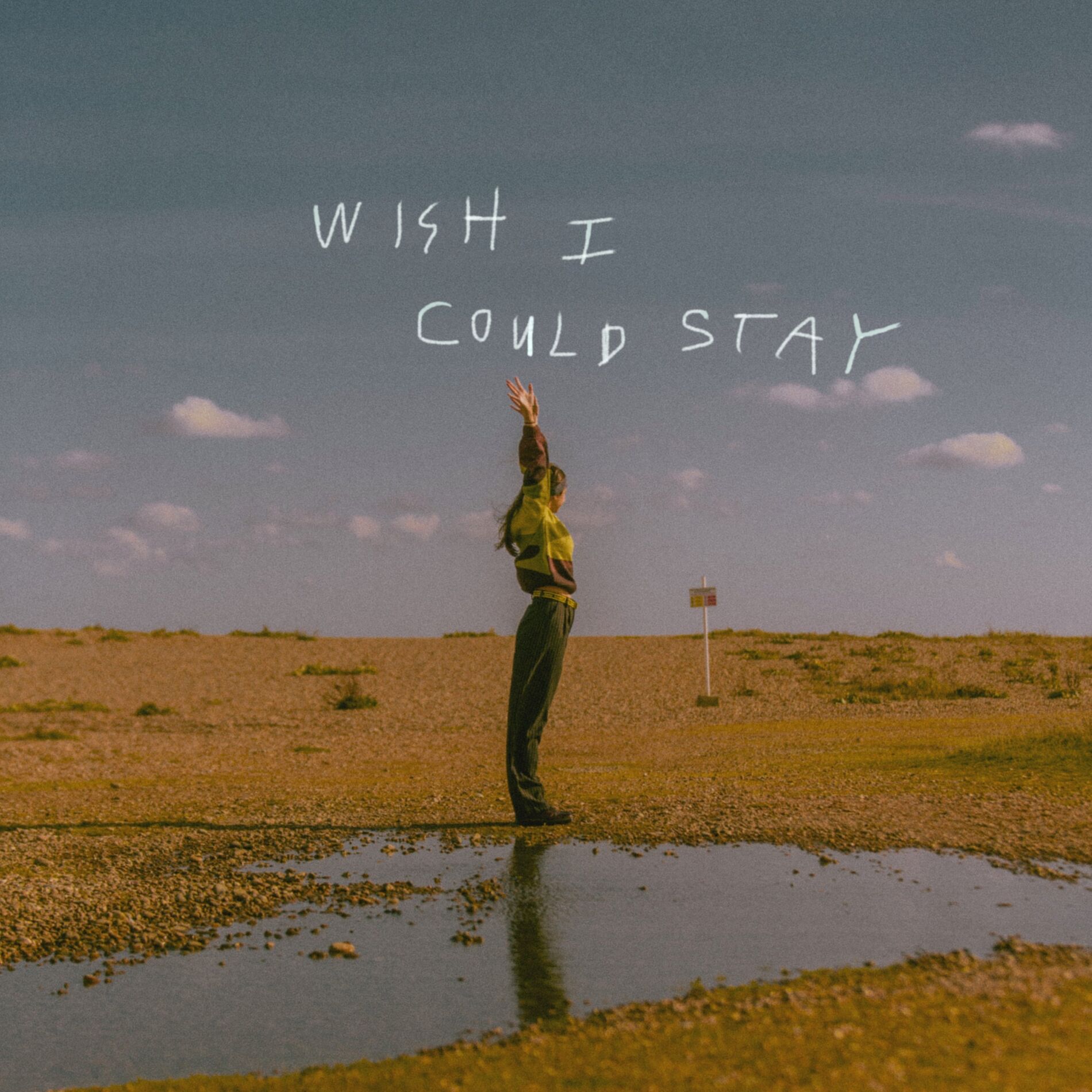 Album cover of Wish I Could Stay