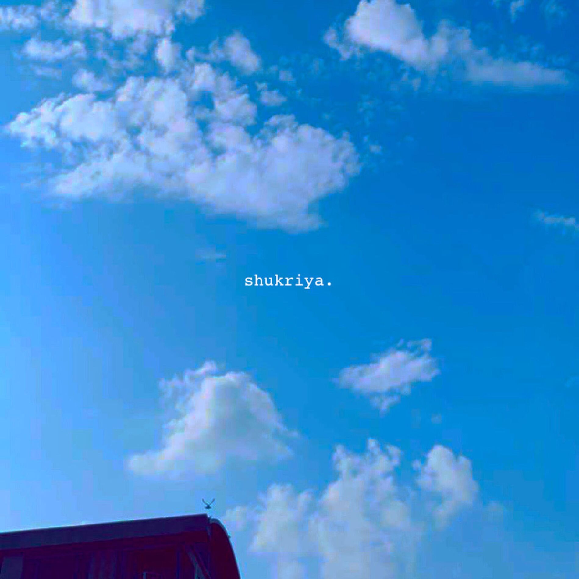 Album cover of shukriya (feat. Ariis)