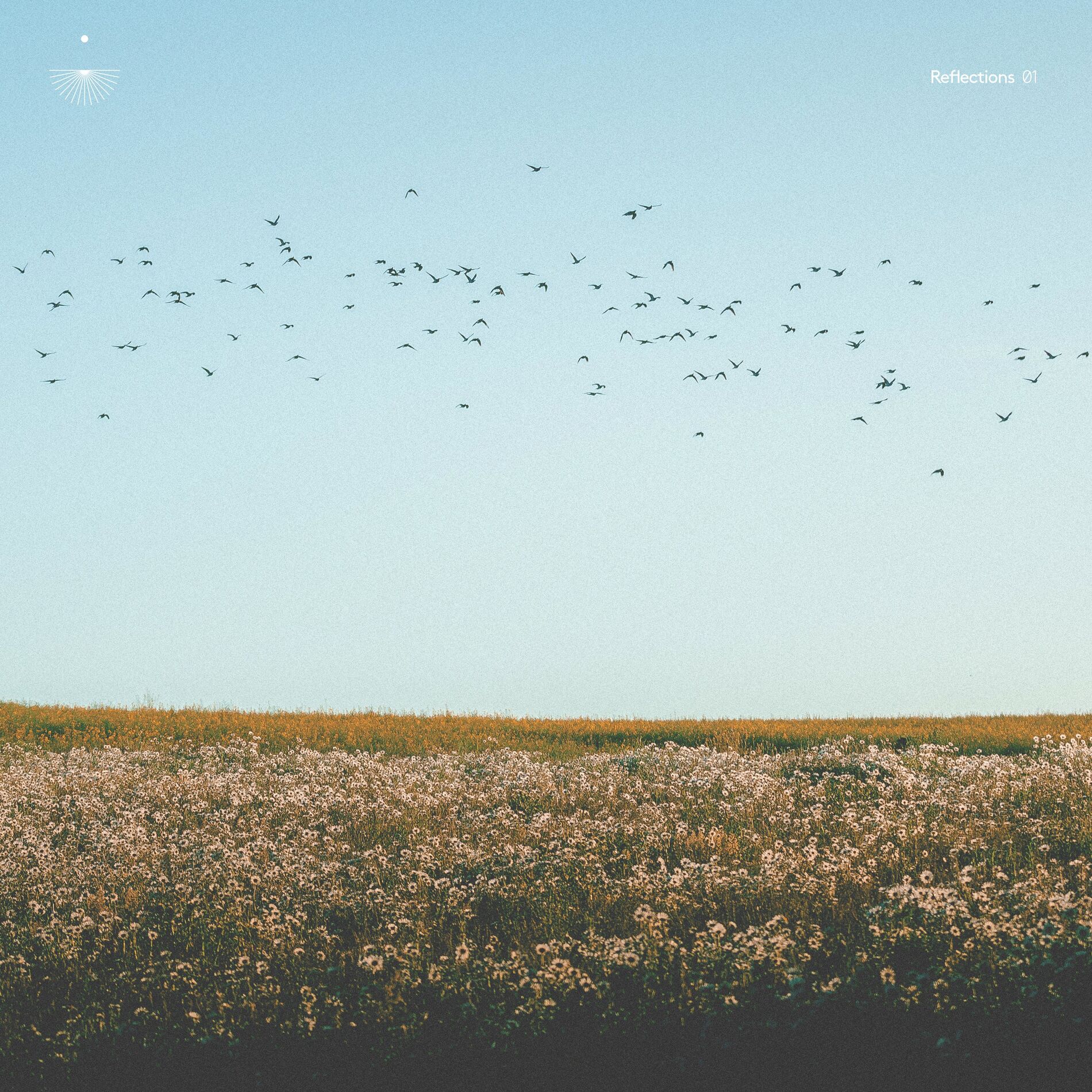 Album cover of Reflections 01