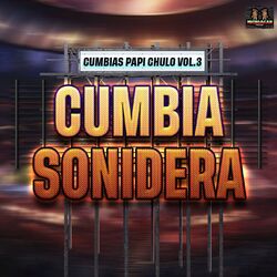 Cover of Cumbias Papi Chulo Vol. 3