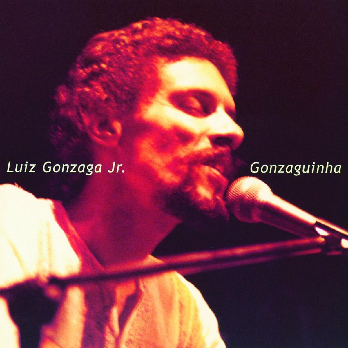 Album cover of Luiz Gonzaga Jr. (Gonzaguinha)
