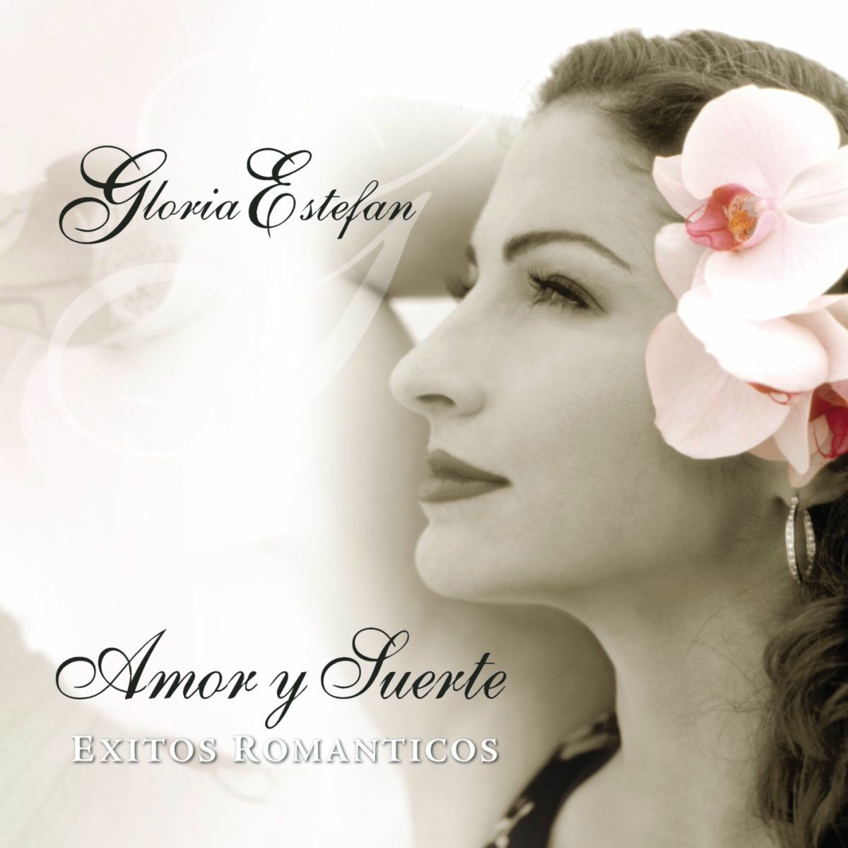 Album picture of Amor Y Suerte (Spanish Greatest Hits)