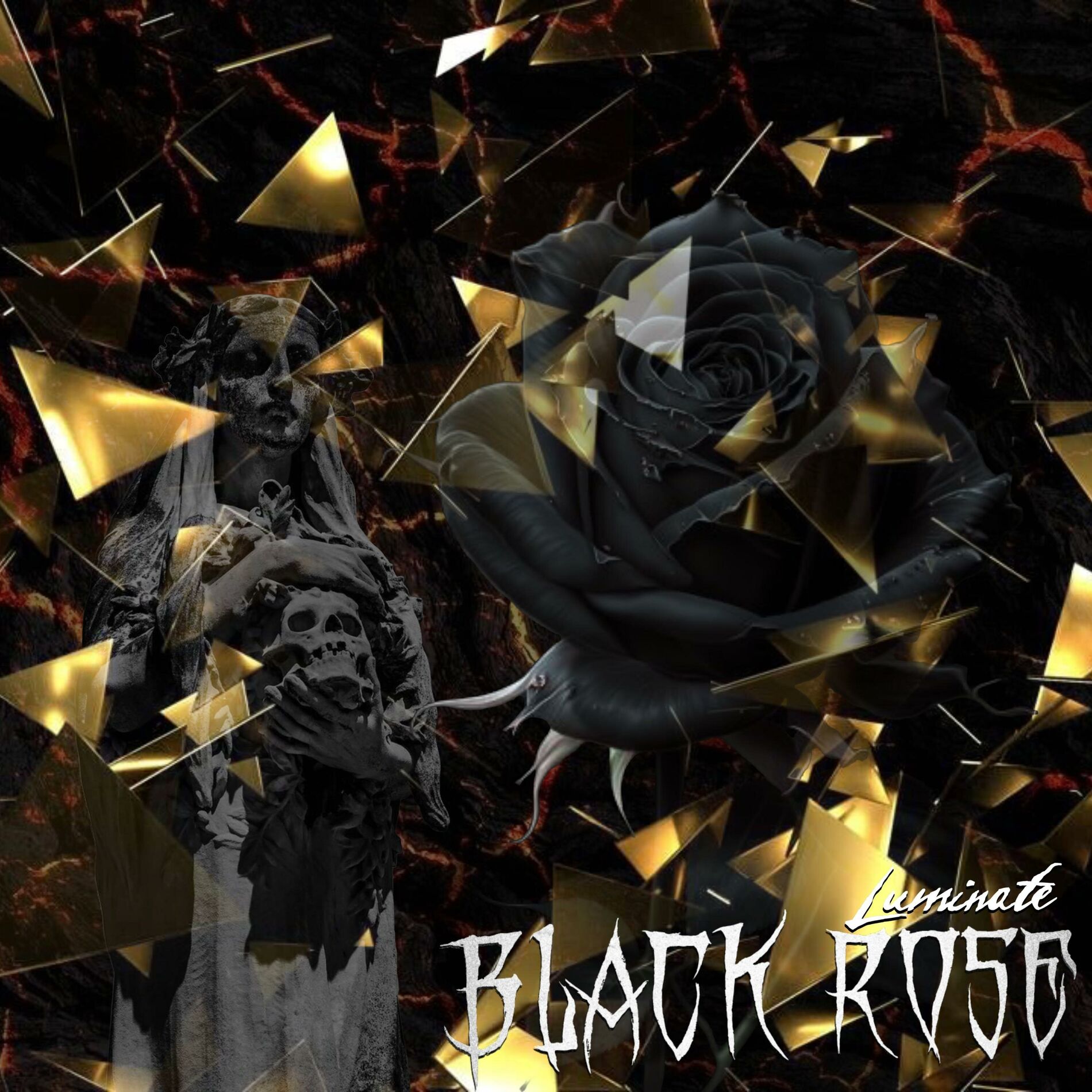 Album cover of Black Rose