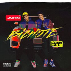 Cover of Bichote