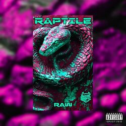 Cover of Raw (Speedy Mix)