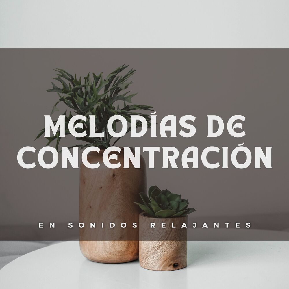 Picture of Melodías De Concentración En Sonidos Relajantes