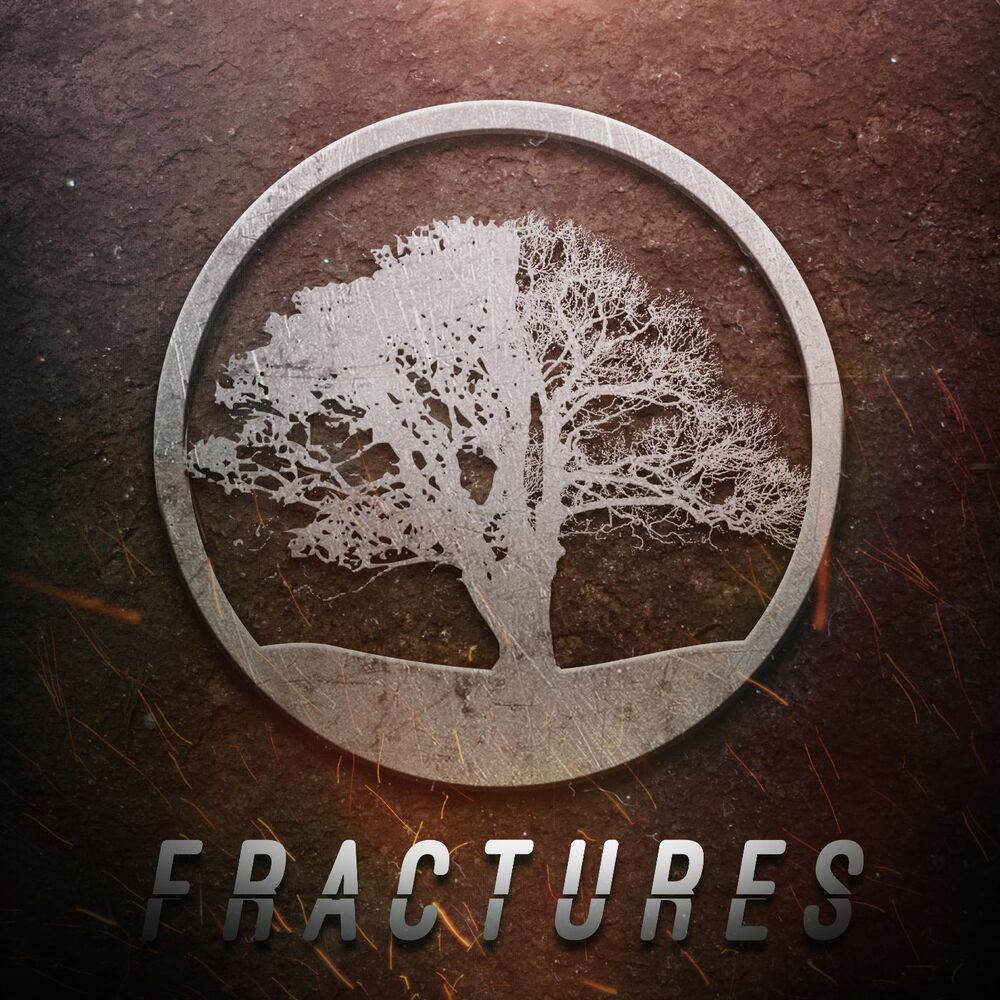 Picture of Fractures