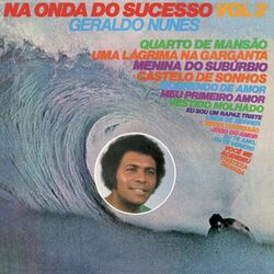 Cover of Na Onda do Sucesso, Vol. 2
