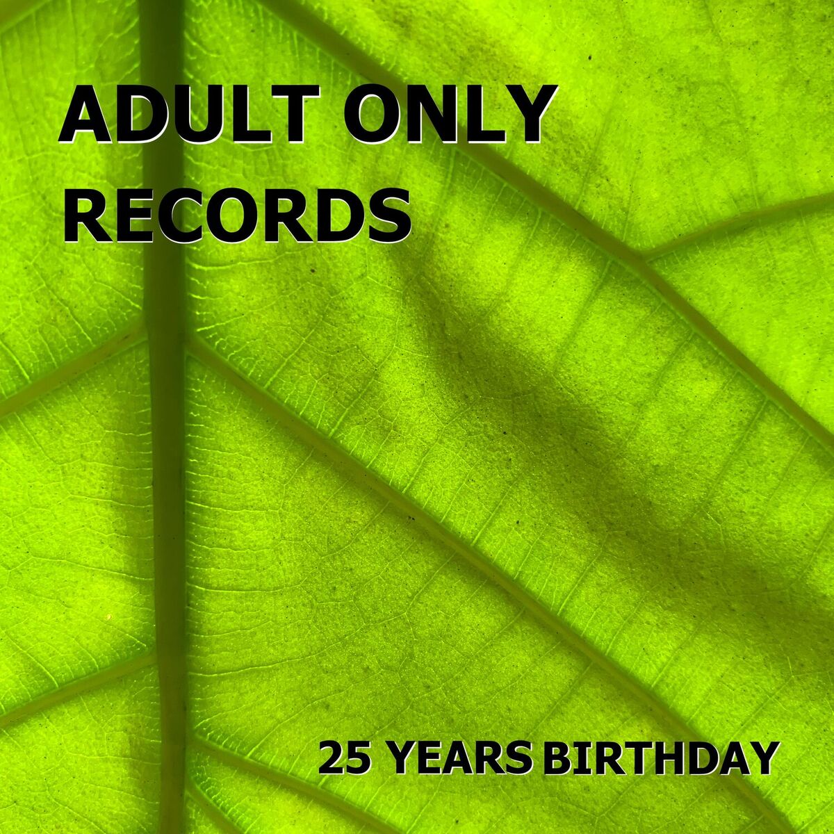 Album cover of Adult Only Records 25 Years Birthday