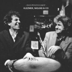 Cover of Klezmer, niguns & co
