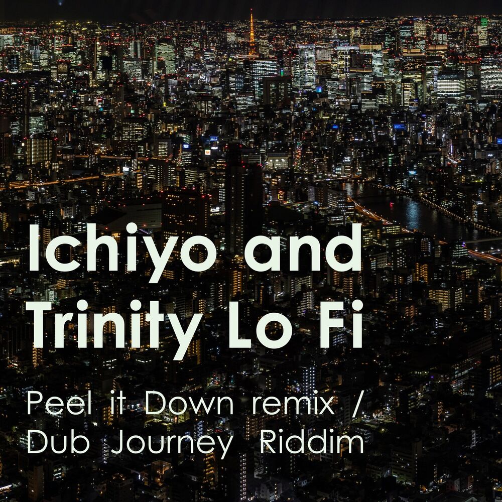 Picture of Peel It Down Remix (Dub Journey Riddim)