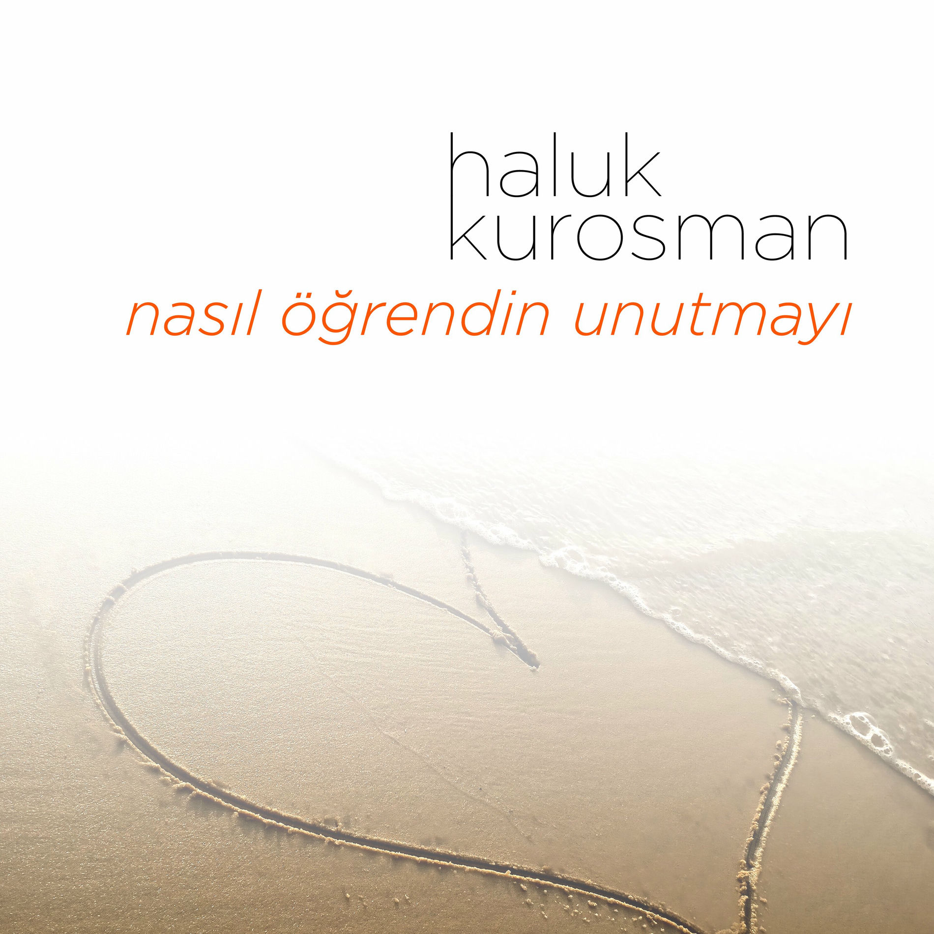 Album cover of Nasıl Öğrendin Unutmayı