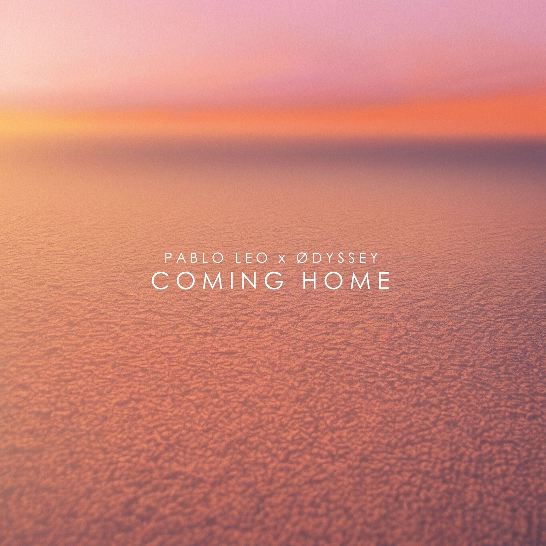 Album cover of Coming Home