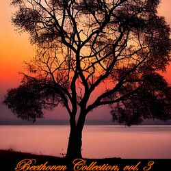 Cover of Beethoven Collection, Vol. 3