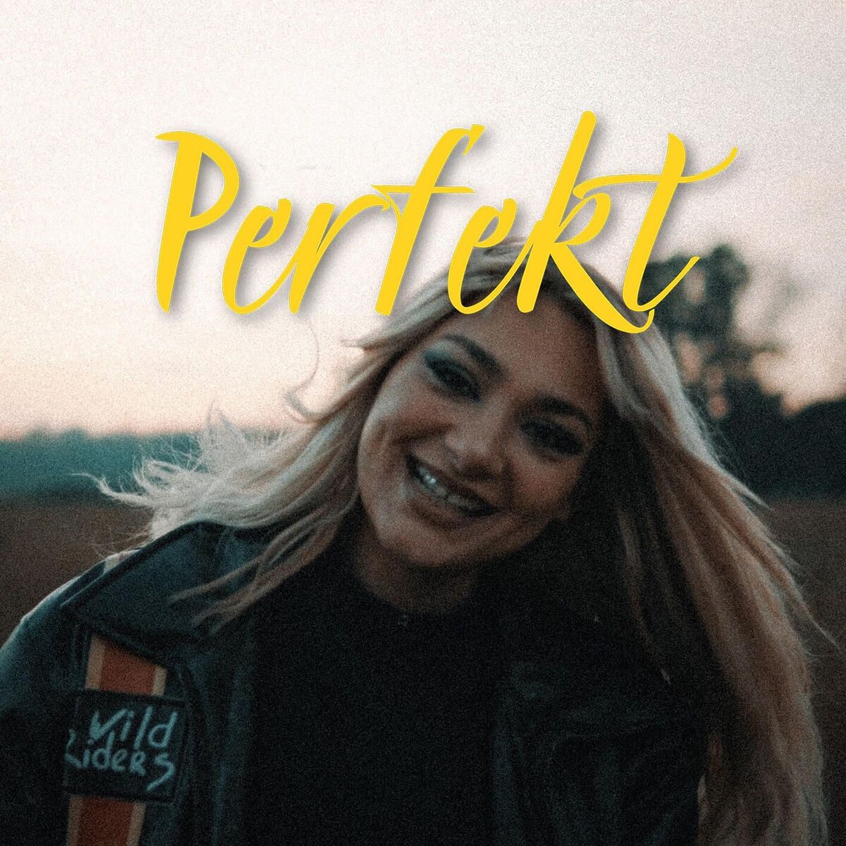 Album cover of Perfekt