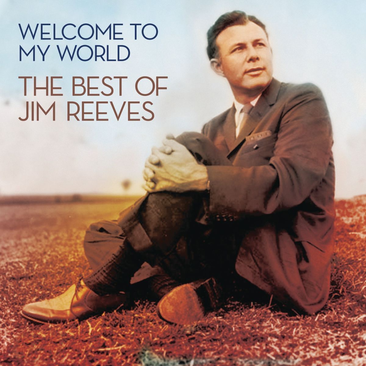 Album cover of Am I Losing You