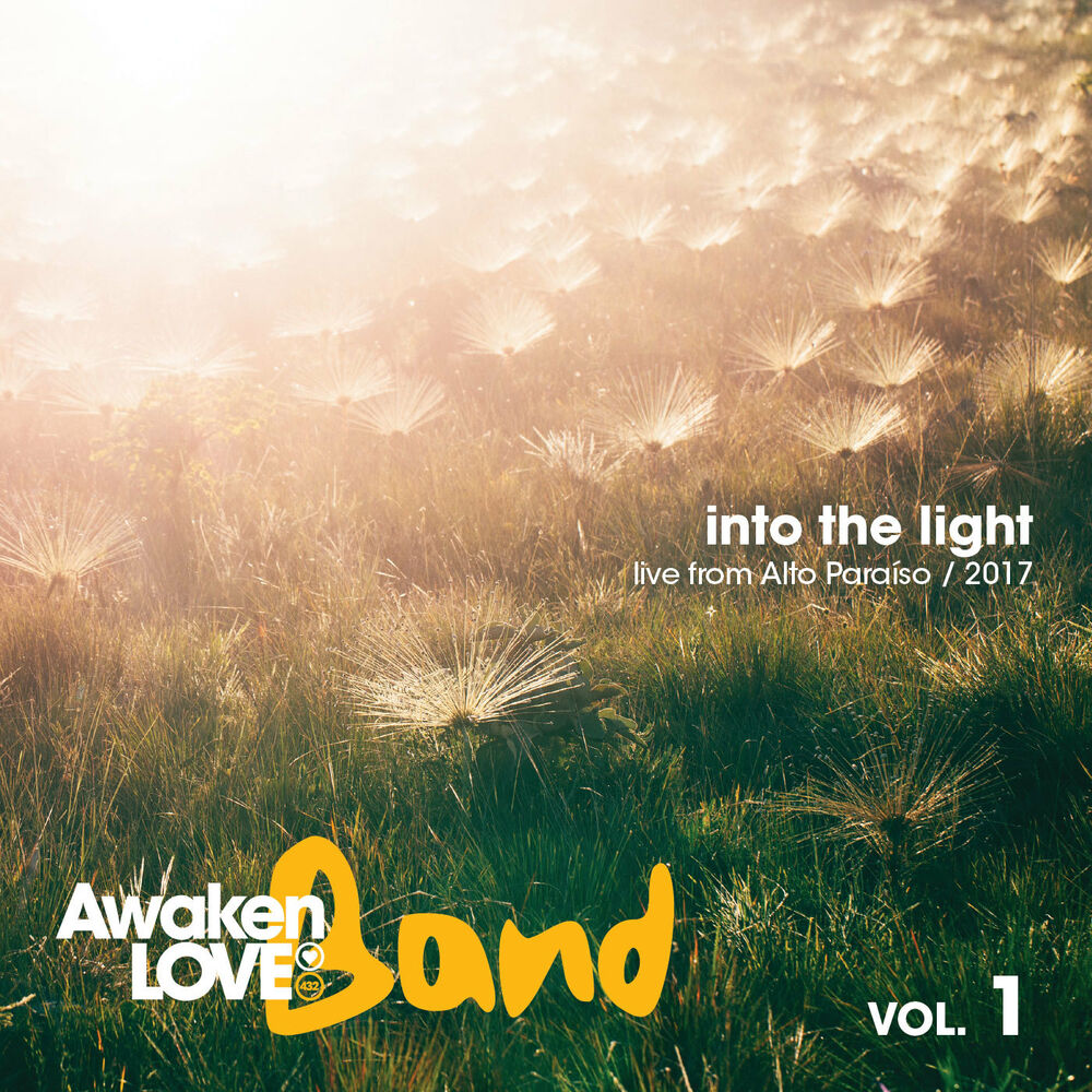 Picture of Into the Light