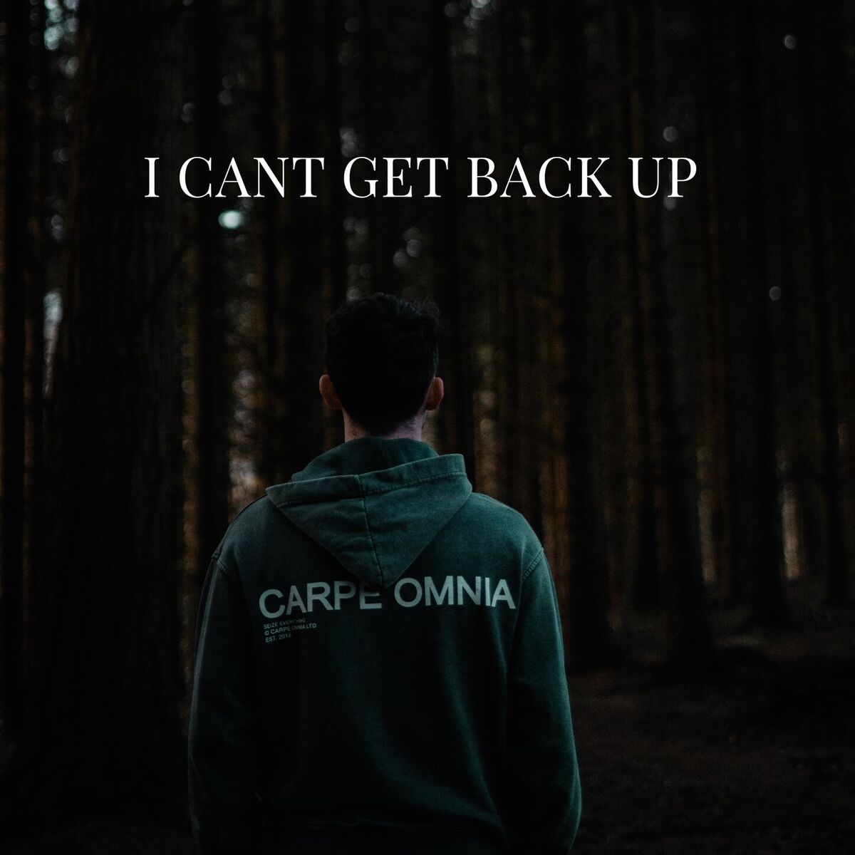 Album cover of I Can’t Get Back Up