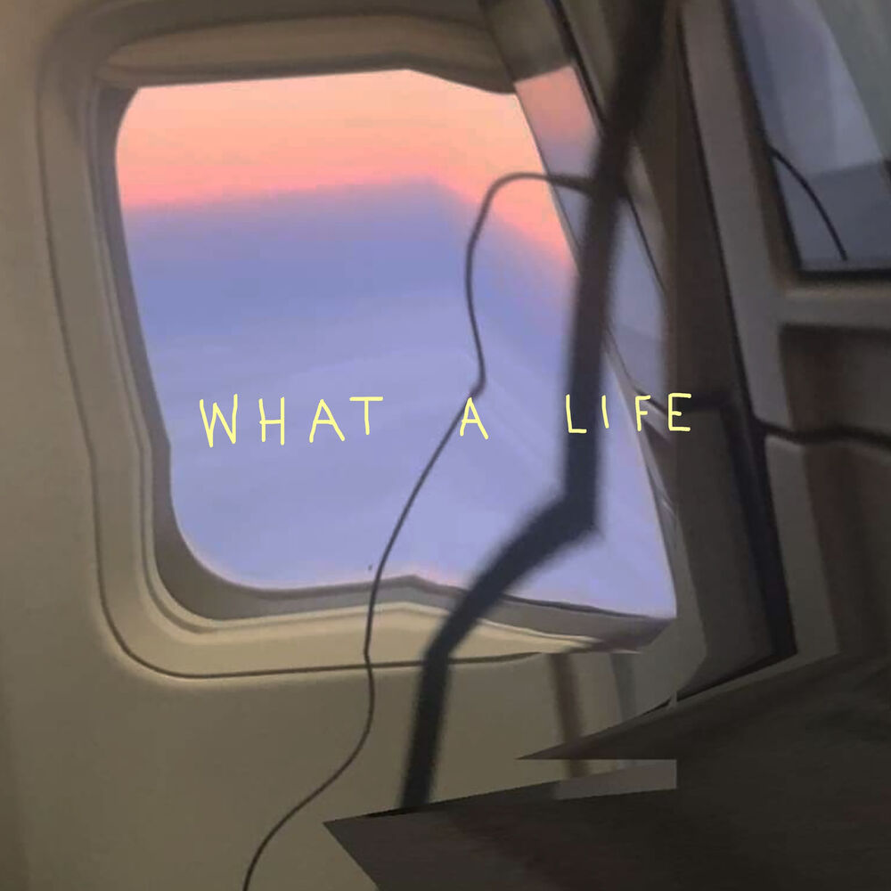 Picture of What A Life