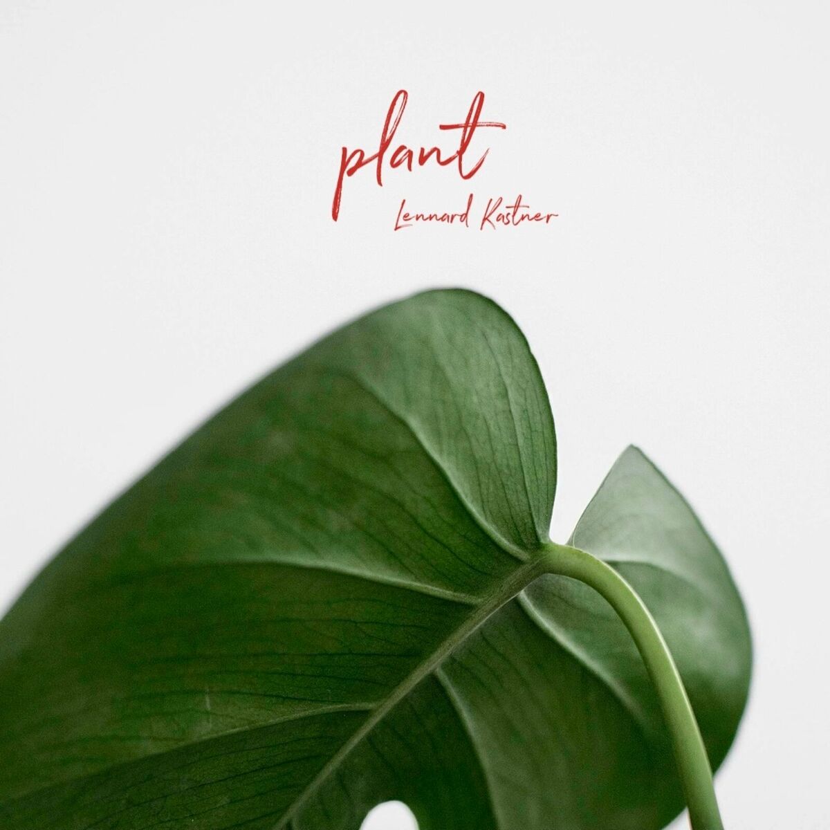 Album cover of Plant