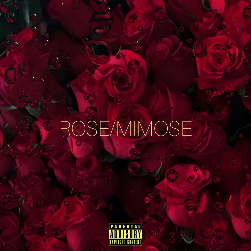 Picture of Rose / Mimose