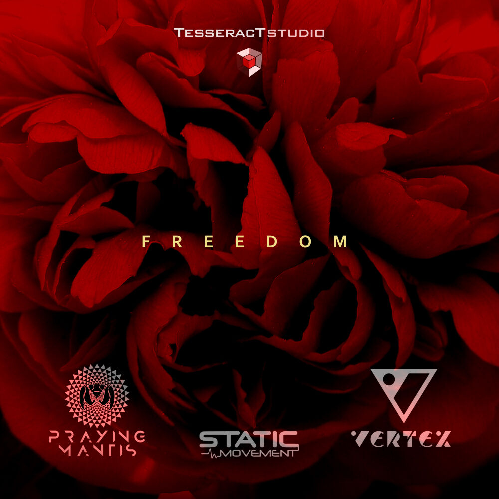 Picture of Freedom