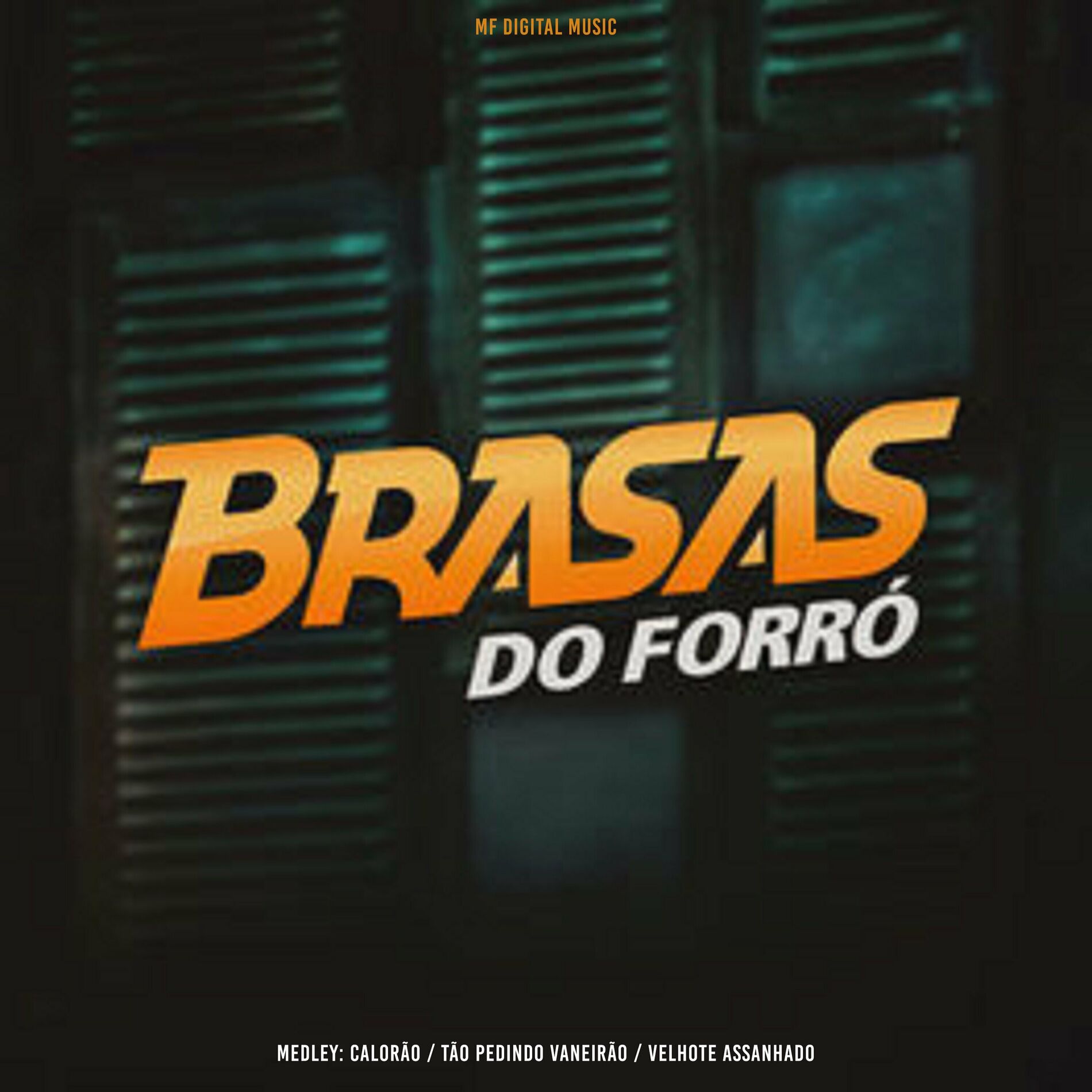 Album cover of Medley: Calorão / Tão Pedindo Vaneirão / Velhote Assanhado