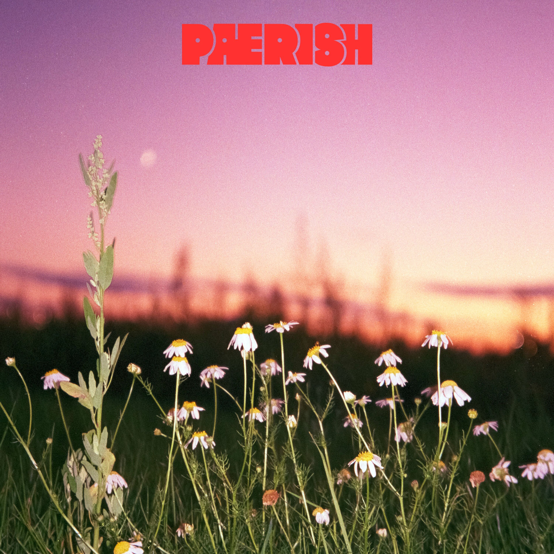 Album cover of Know
