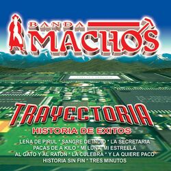 Cover of Trayectoria