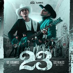Cover of 23