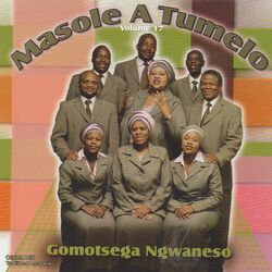 Cover of Gomotsega Ngwaneso