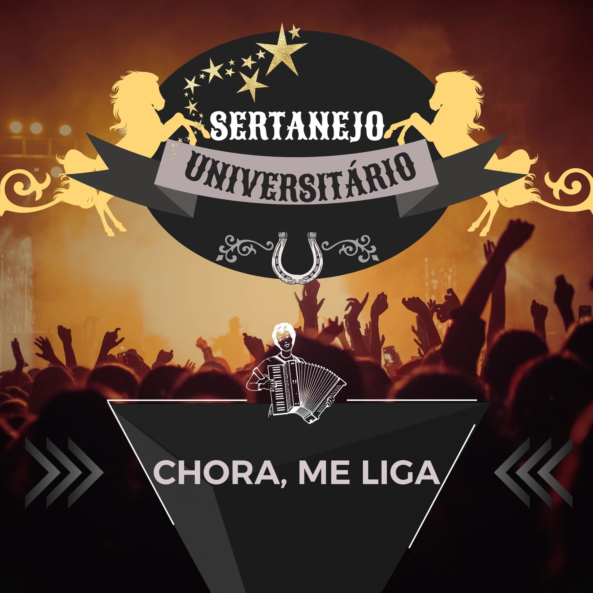 Album cover of Chora, Me Liga