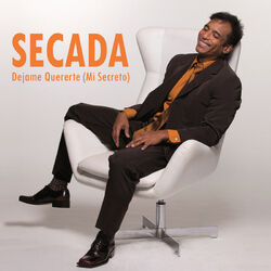 Cover of Dejame Quererte (Mi Secreto)