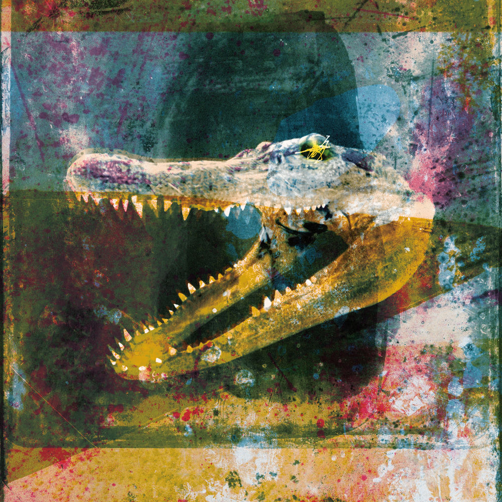 Dry Fantasy cover
