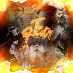 Cover of Te Fuiste