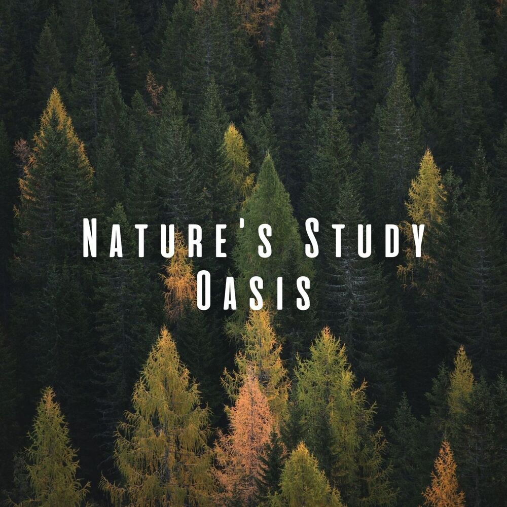 Picture of Nature's Study Oasis: Relaxing Sounds for Concentration and Learning