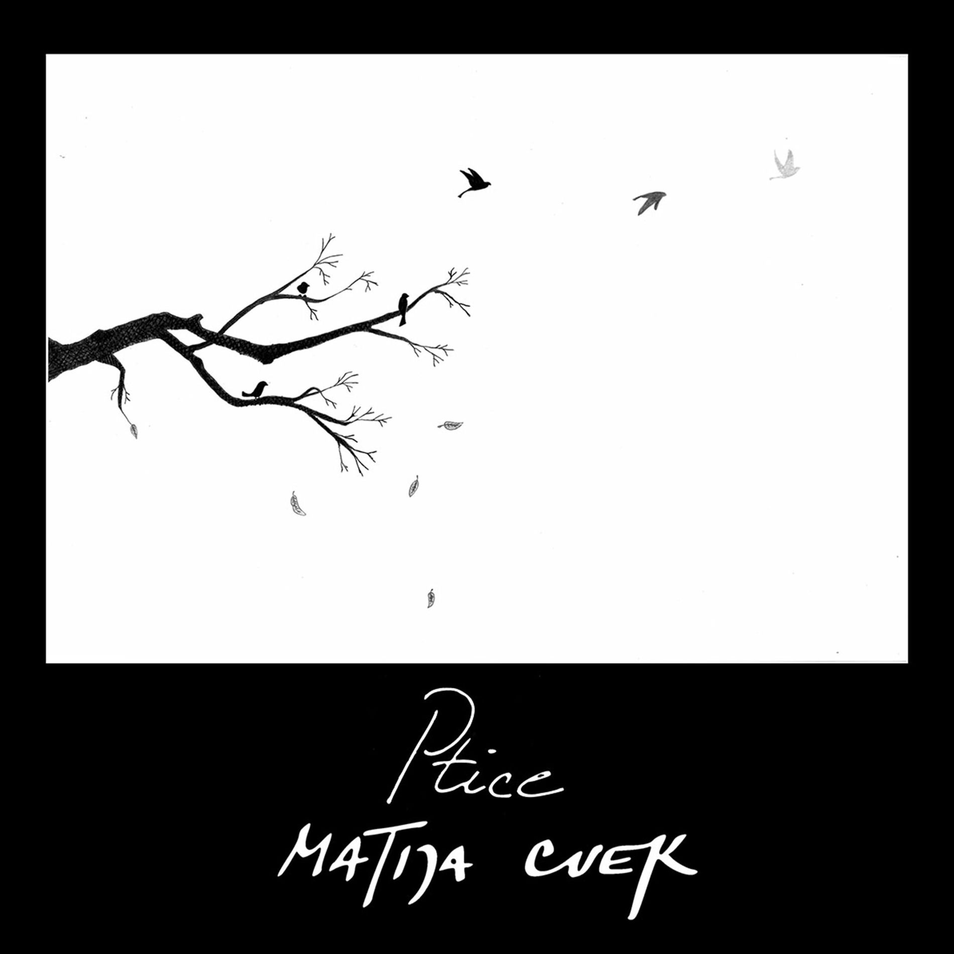 Album cover of PTICE