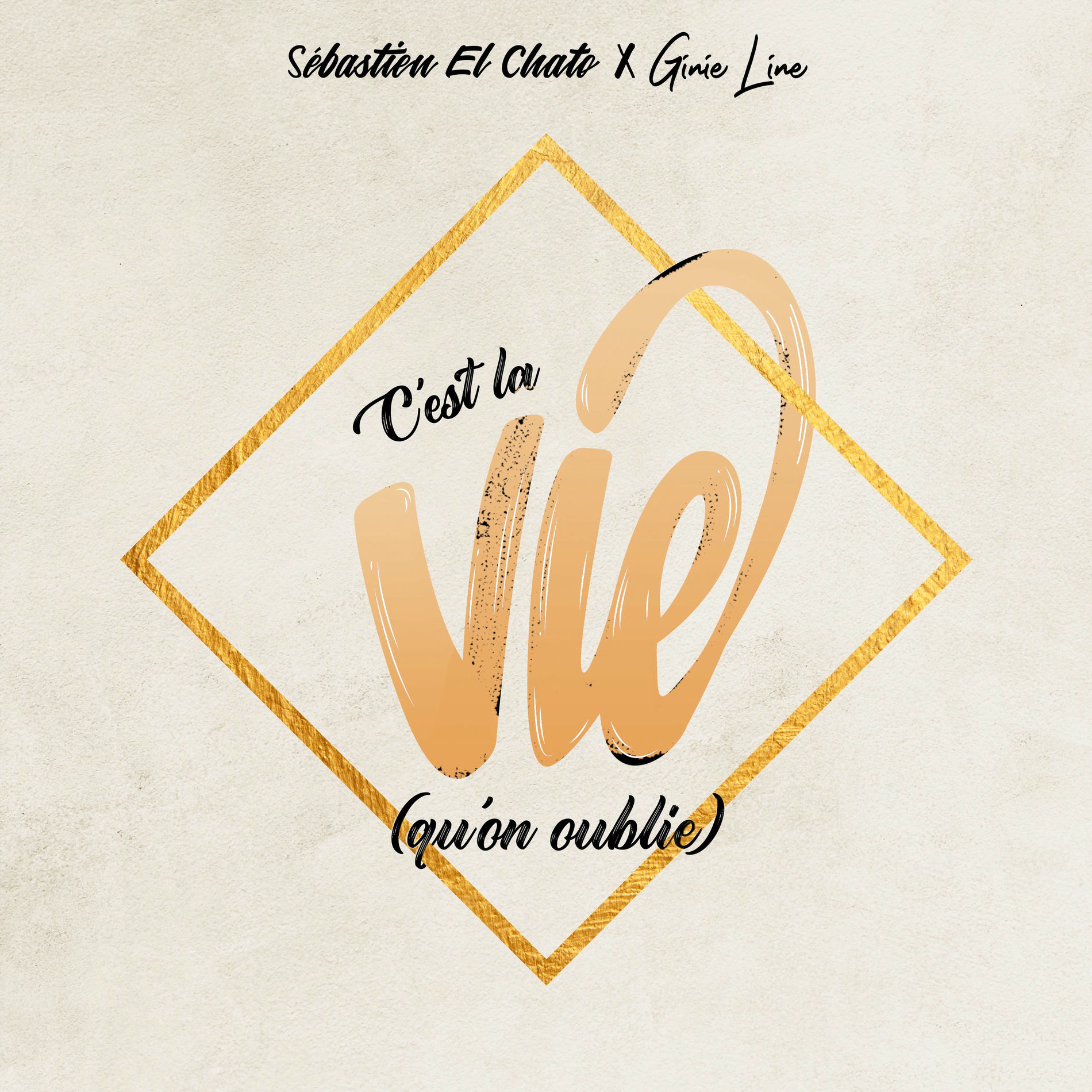 Album cover of C'est la vie (qu'on oublie)