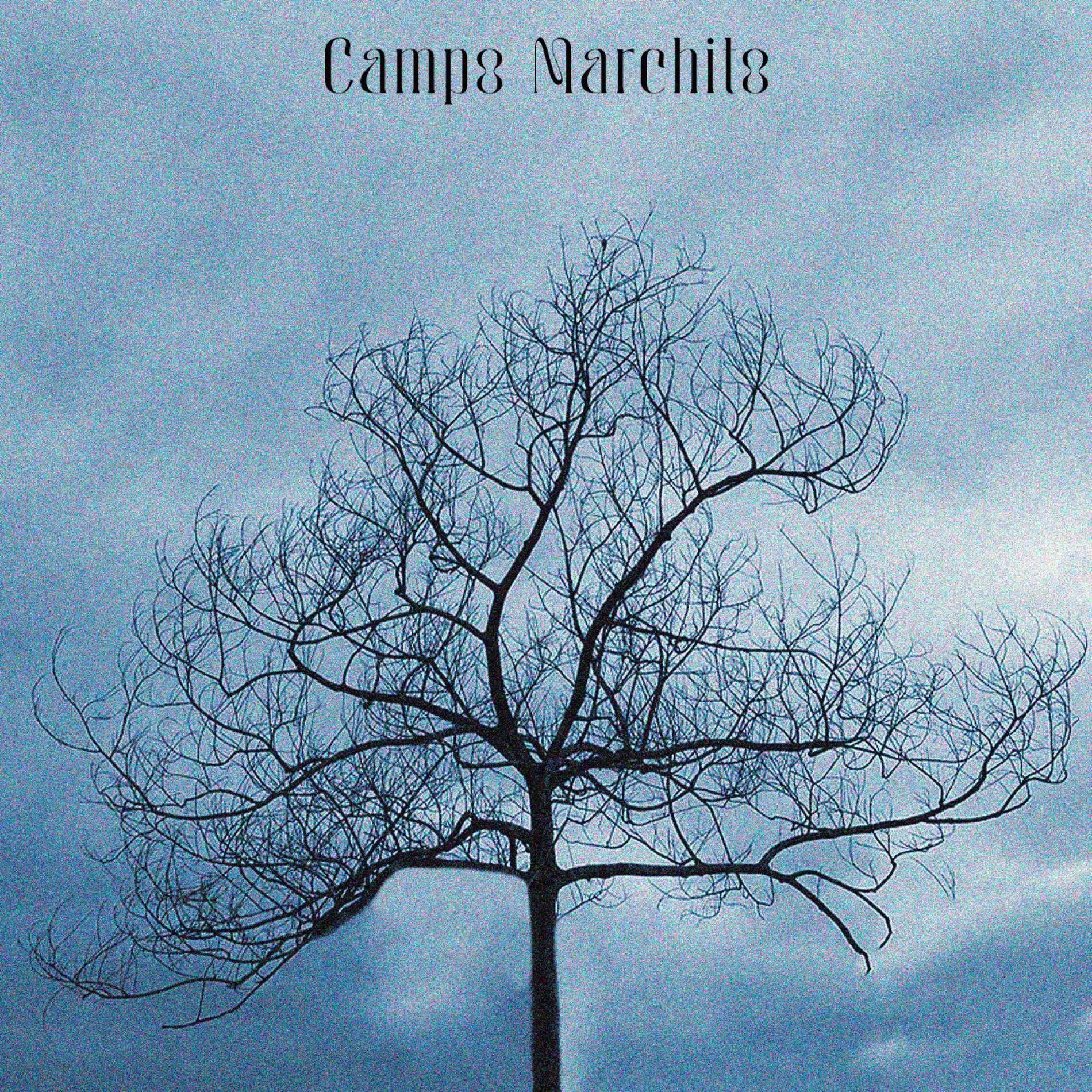 Album cover of Campo Marchito