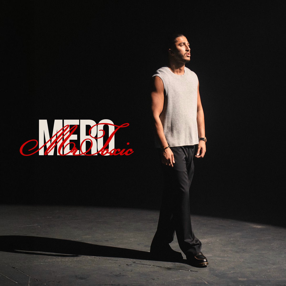 Album cover of Mrs. Toxic