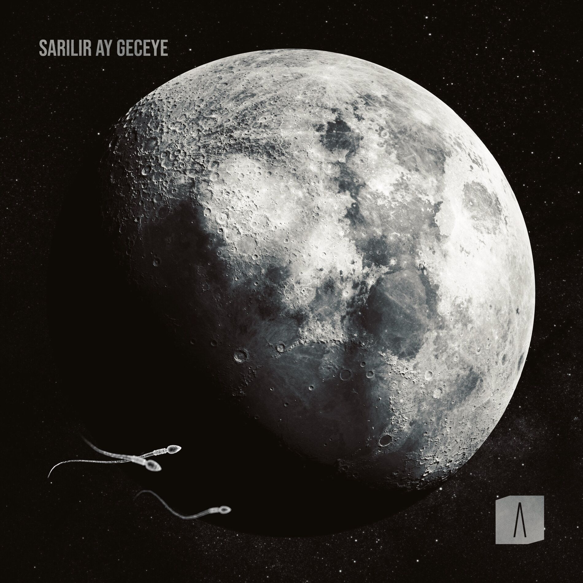 Album cover of Sarılır Ay Geceye