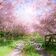 Spring is Coming