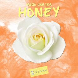music cover