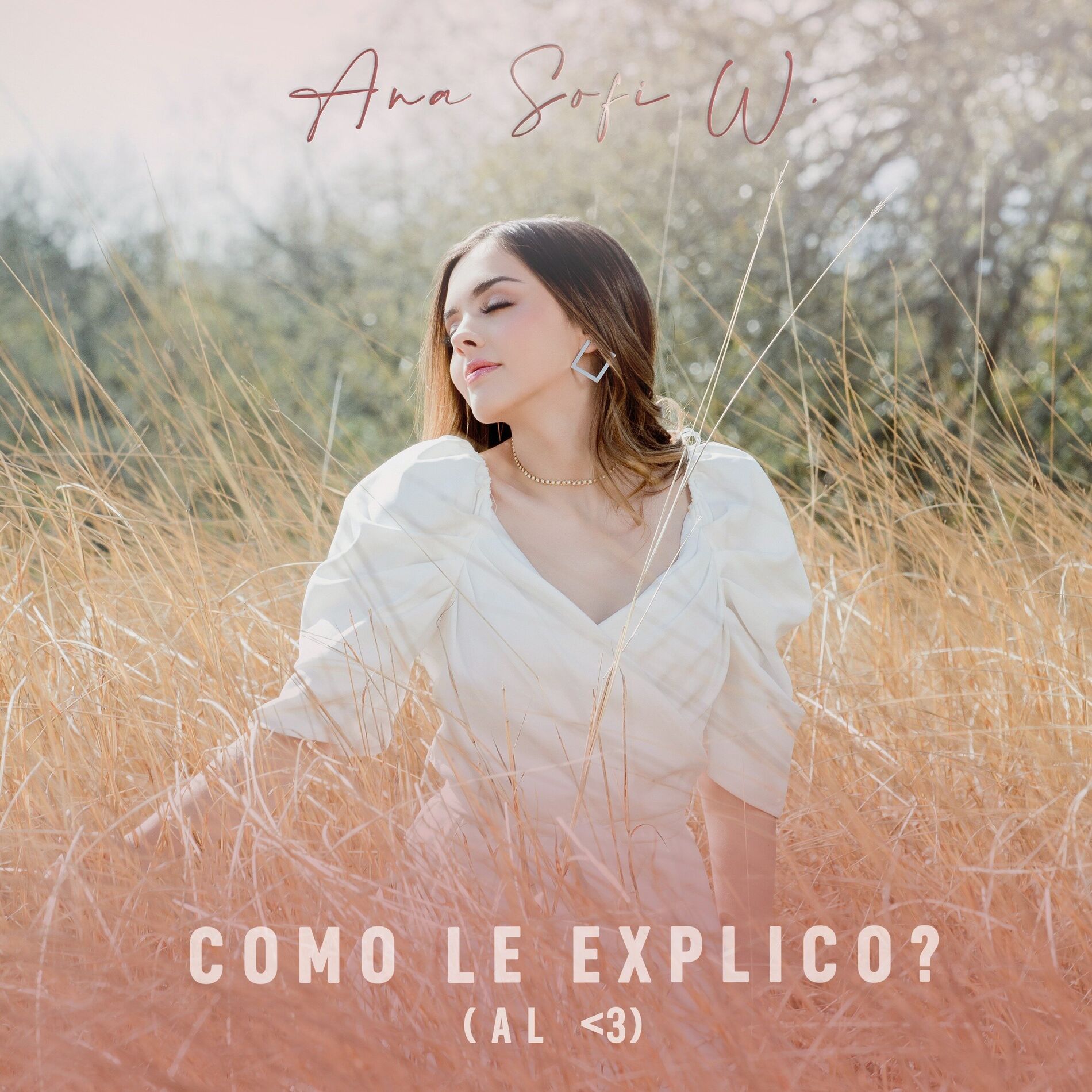 Album cover of Como Le Explico? (Al <3)